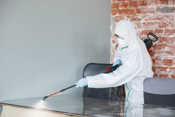 Best Water Damage & Mold Remediation in USA